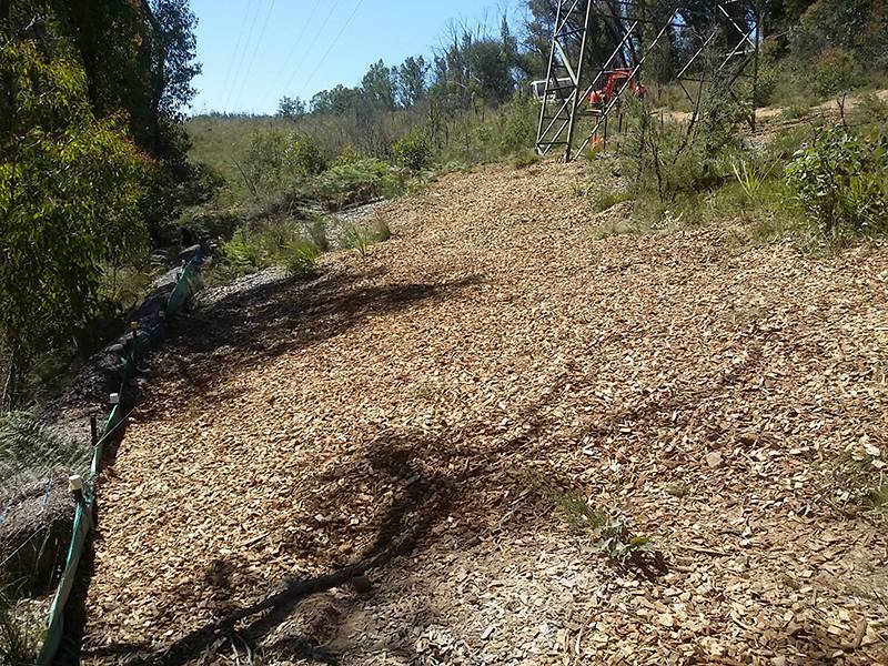 blackheath and mt victoria transmission tower upgrades