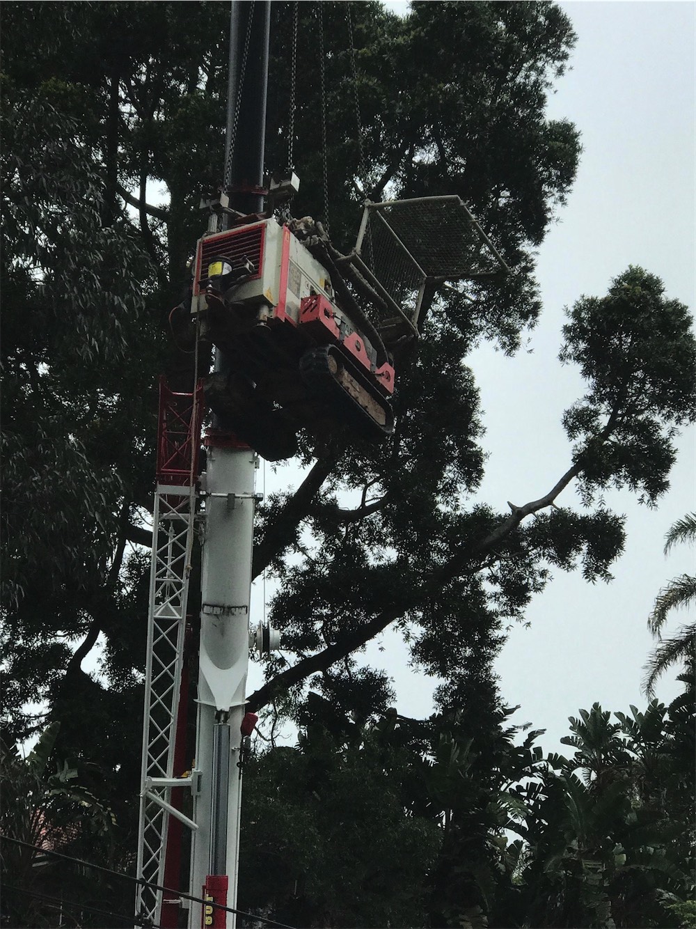 UGOH termination earthing Woollahra Railway Station